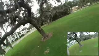 One Pack Park Lines
