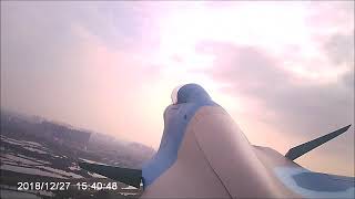 Su-30 canard no servo , by hydraulics cylinders