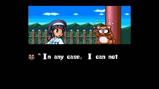 [SNES] Pocky & Rocky
