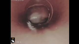 120 Avenida Algadon after NuFlow Trenchless Sewer Lining