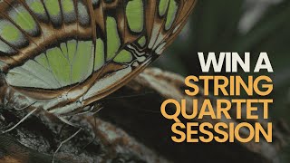 A New Chance to WIN - Score This Nature Documentary! | The Insect Kingdom