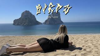 HUGEL x Topic x Arash feat. Daecolm |BIRDS REMIX- (2025 Summer Afro House) –Andrw Flamez afro house