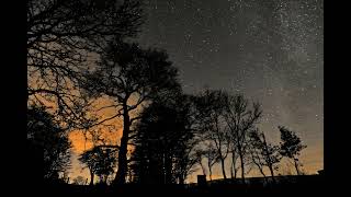 Ras Echidnas - To The Stars