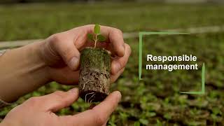 Desert King Brings Manufacturing Excellence and Sustainability Leadership to Magni-Phi® Brands
