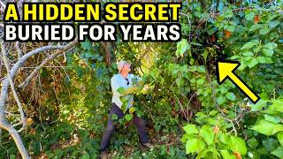 The Most Insane Backyard Discovery Yet - You Won’t Believe His Reaction