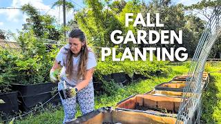 Planting the Fall Garden! | 800 Square Feet IBC Tote Raised Bed Garden Tour