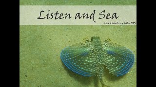 Listen and Sea - Alex Coimbra (AdlerBR)