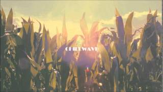 Pawlack - Palm