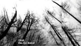 ZMAR / Mališa Bahat - Split (2019) [Full split]