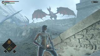 How To Get The Ring Of Great Strength | Demon's Souls Remake