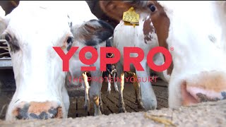 YoPRO - Pitch to Rich 2015 #VOOM