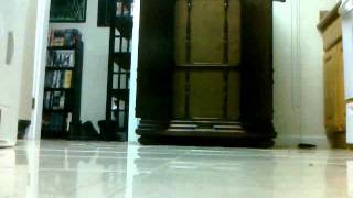 Victor Credenza plays Irish Black Bottom - Turk Murphy's Jazz Band