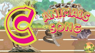 Discover Animals Starting with C Song! 🎶🐾Alphabet Animals Nursery Rhyme for Kids | Cute Facts