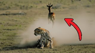 Nature’s Toughest Survivors: Meet the Ultimate Endurance Creatures!