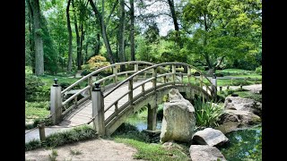 Ambient mix #5