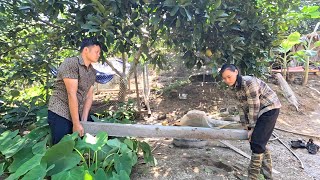 After many days of silence, today he brought corn bran and helped me move the concrete column.