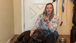 Liquid Collagen for Dogs Review — Tested, Explained, and Rated! W9648