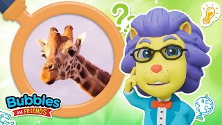 5 Giraffe Facts for Kids! | Animal Fact Finder with Bubbles and Friends