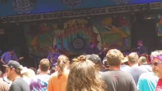 Kung Fu | Wanee 2017 | The Jam Goes On