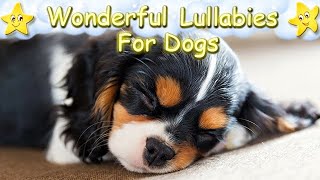 Super Relaxing Piano Music For Dogs And Puppies ♫ Stress Relief For Your Dog Within 5 Minutes