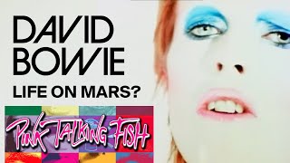 "Life on Mars"⚡️David Bowie | Pink Talking Fish Tampa 2025