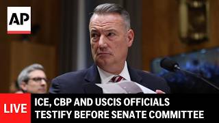 LIVE: ICE, CBP and USCIS officials testify before Senate Committee