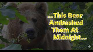 Scary Bear Attacks: This Grizzly Bear Ambushed 2 Hikers At Midnight