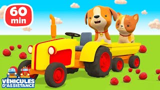 1 HEURE de dessins animés pour bébés🐶🐱 Les véhicules d’assistance et les animaux amusants