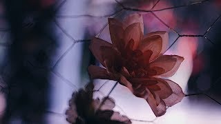 Range Finder: Nuit Blanche