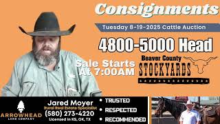 Beaver County Stockyards Consignments for August 19th