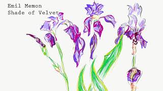 Emil Memon Shade Of Velvet