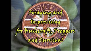 Foraging and Improvising for Bushcraft Preppers and Survival