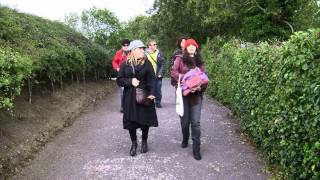 Viagem à Irlanda Celta com Eddie Van Feu