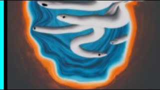 Portal + Snake + Infinite Duplication