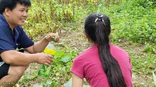 A woman picking soybeans met a bad guy.