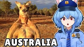 Reacting to AUSTRALIA'S WILDLIFE | More Parz Reaction