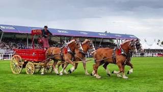Royal Highland Show Trip 2016