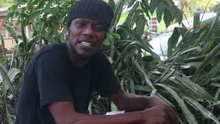 Anomaly - How Far Man Come From { Official Music Video }