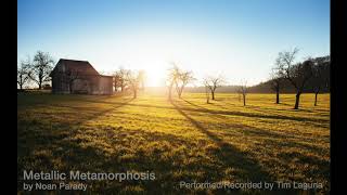 Metallic Metamorphosis