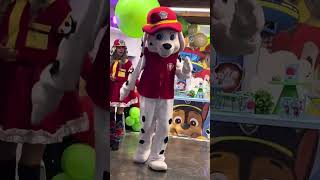Show Paw patrol parte 4 // fiesta infantil con la patrulla de cachorros 🐶