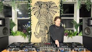 Elephant session #178 Samnoza
