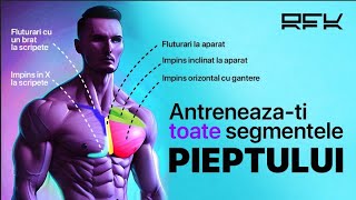 Antrenament Complet De Piept