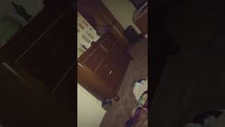 ORPS A FANTASTIC DISPLAY!..