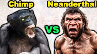 CHIMPANZEE vs NEANDERTHAL-Who Would Win in a Fight?