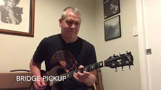 Norlin Era Gibson SG - Is It Any Good?