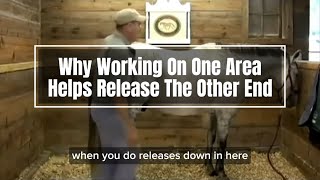 When The Horse Responds Behind While Doing Bodywork In The Front