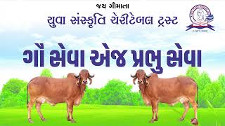 ગૌ સેવા એજ પ્રભુ સેવા || gau seva ej prabhu seva || યુવા_સંસ્કૃતિ_પરિવાર_સુરત