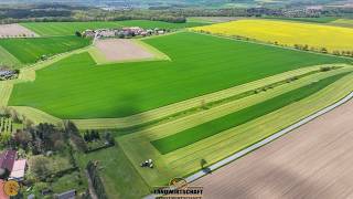 Vorgewende ist Fertig Jetzt mähen wir den rest in 2 Stunden Nieder Grünroggen mähen für Futter Fendt