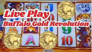 Buffalo Gold Revolution Live Play