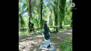 Muat sawit tercepat.... sambil bernyanyi dan @headstand